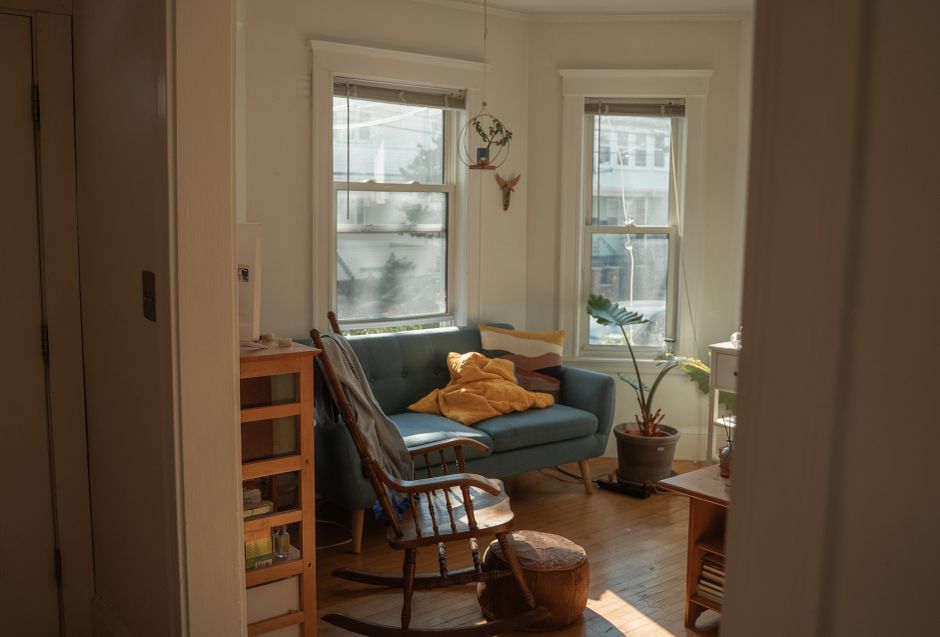 Bright and inviting living room with natural light highlighting modern decor and plants.